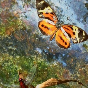 Home Page Photography for Sale