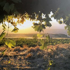 Home Page Photography for Sale