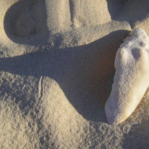 Home Page Photography for Sale