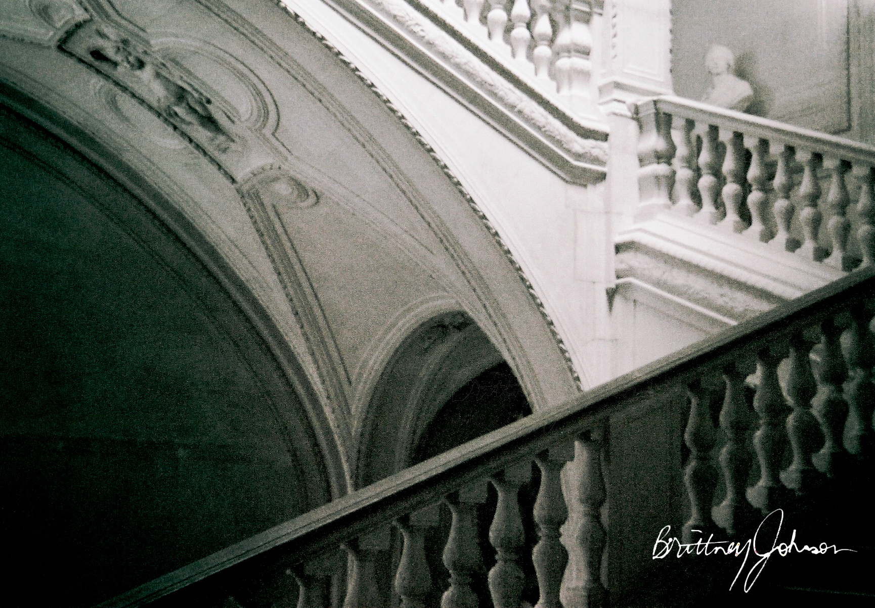 Museum Railing Museum Railing