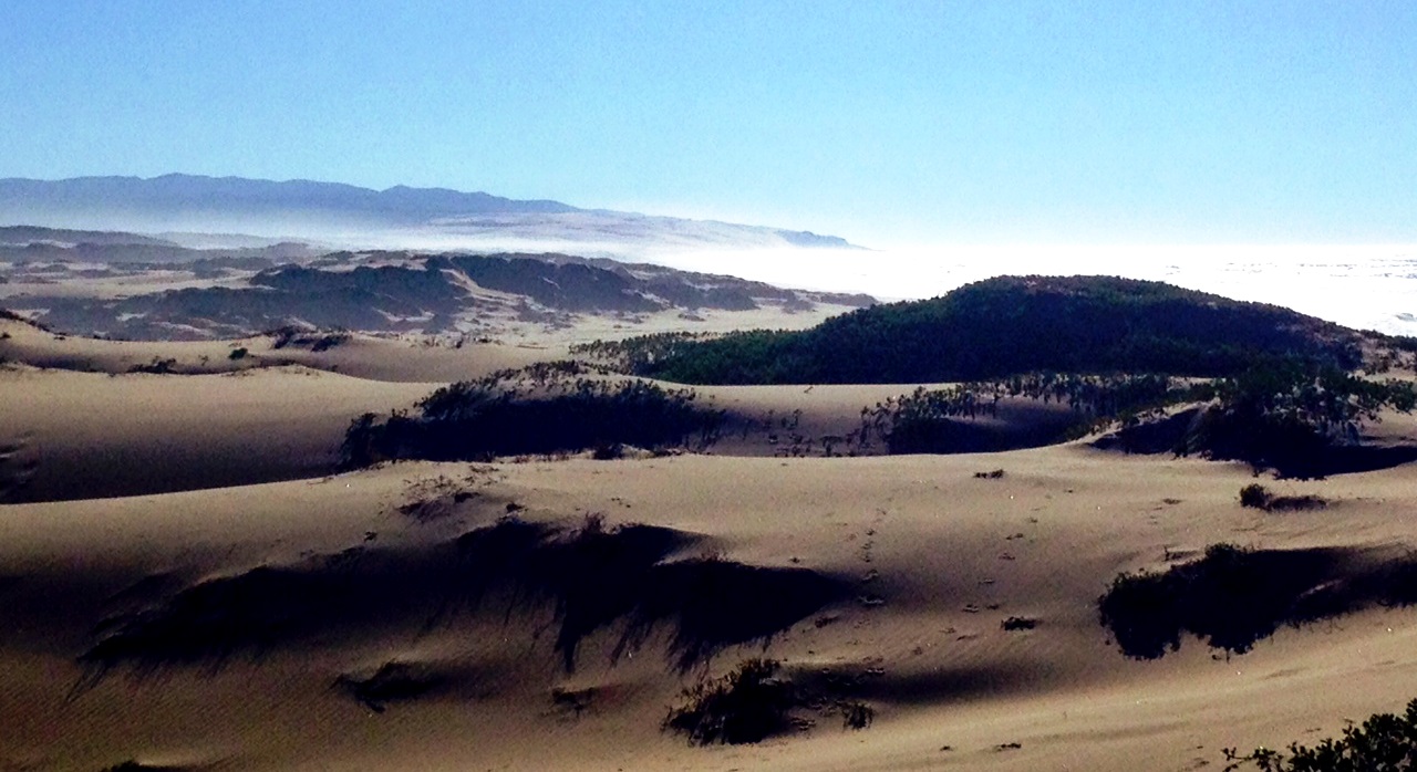 Imagination” Guadalupe Dunes, CA Imagination